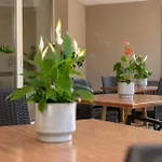 Hotel Carmen
